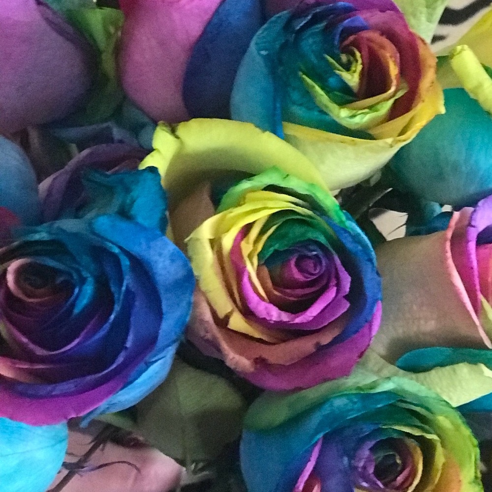 Meet your Posher, Clementina